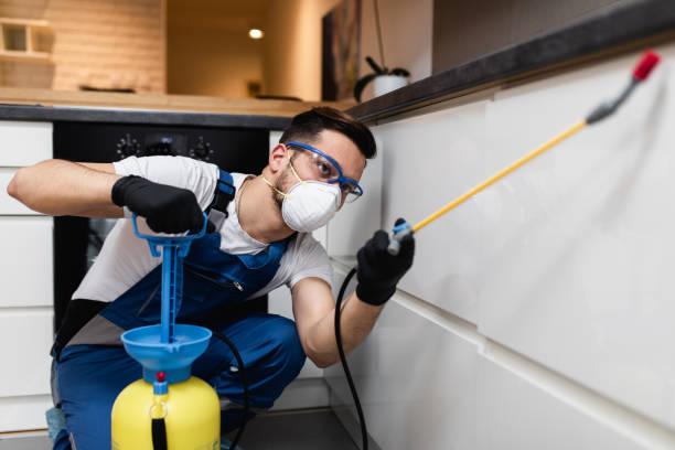Best Affordable Pest Control Services  in Biglerville, PA