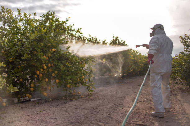 Best Local Pest Control Services  in Biglerville, PA