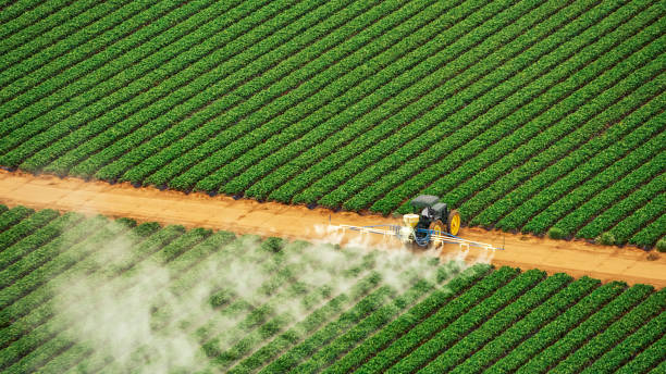 Best Termite Control Services  in Biglerville, PA